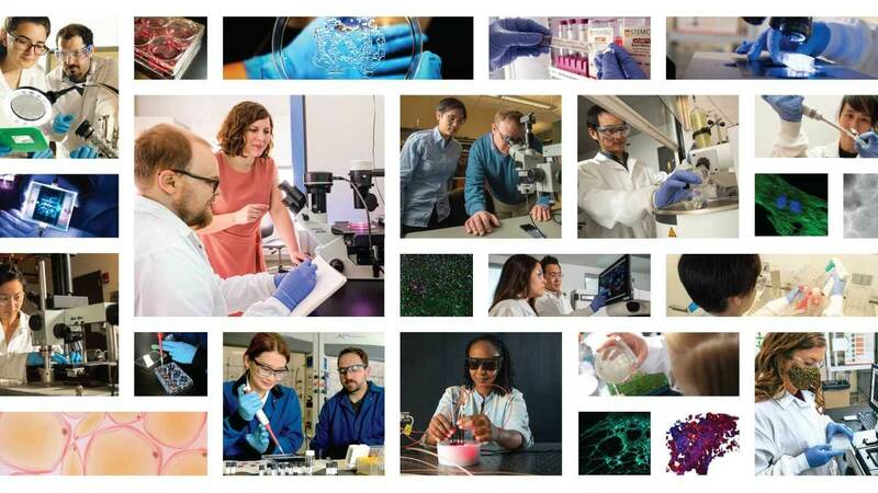 Collage featuring faculty and students involved with the ND Engineering Bioengineering graduate program