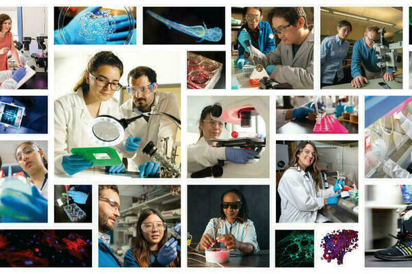 Collage of engineers and scientists engaged in bioengineering and life sciences research, including laboratory work with microscopes, petri dishes, test tubes, and biomedical devices. Also features close-ups of cells, tissues, and experimental equipment, reflecting interdisciplinary research and innovation.