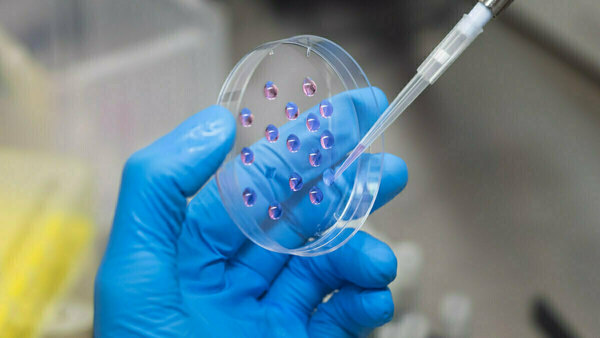 A blue-gloved hand holds a clear petri dish containing multiple reflective purplish-pink liquid drops. A pipette dispenses more liquid into one drop in a laboratory.